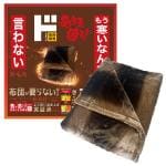 布団要らずの熱毛布