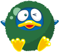 北海道　マリモ