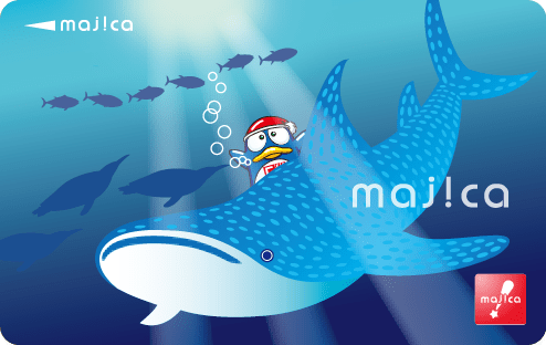 ジンベイザメとドンペンmajica